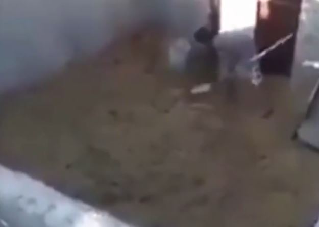 Η φάρσα που θα σας τρομάξει – ΒΙΝΤΕΟ