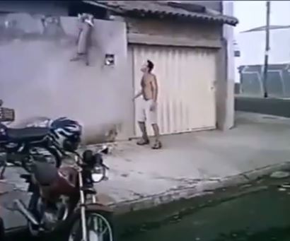 Από αυτό το pit bull δεν ξεφεύγεις – ΒΙΝΤΕΟ