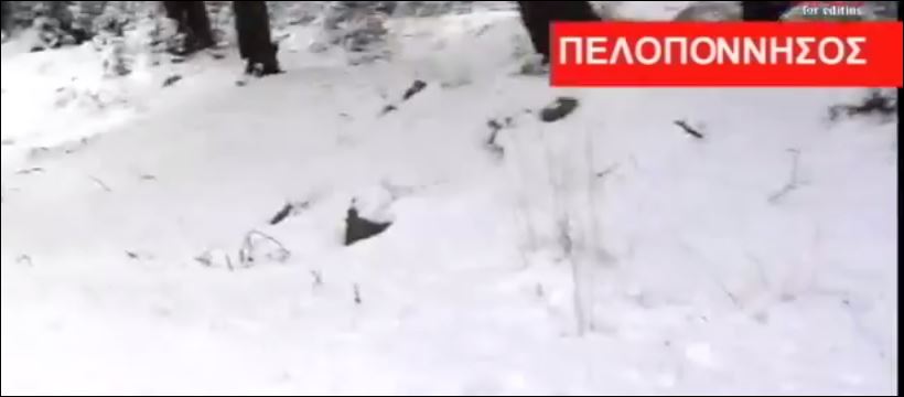 Πάσχα σαν Χριστούγεννα – ΒΙΝΤΕΟ