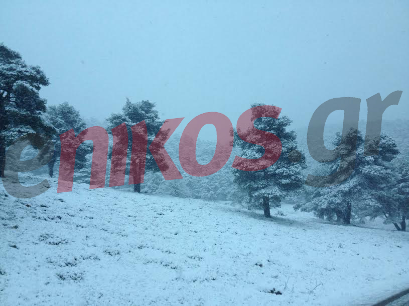 Στα λευκά τα Δερβενοχώρια – ΦΩΤΟ αναγνώστη