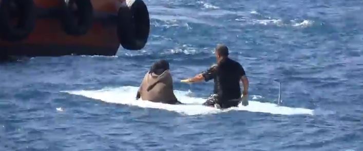 Νέες εικόνες από την τραγωδία στη Ρόδο – ΒΙΝΤΕΟ