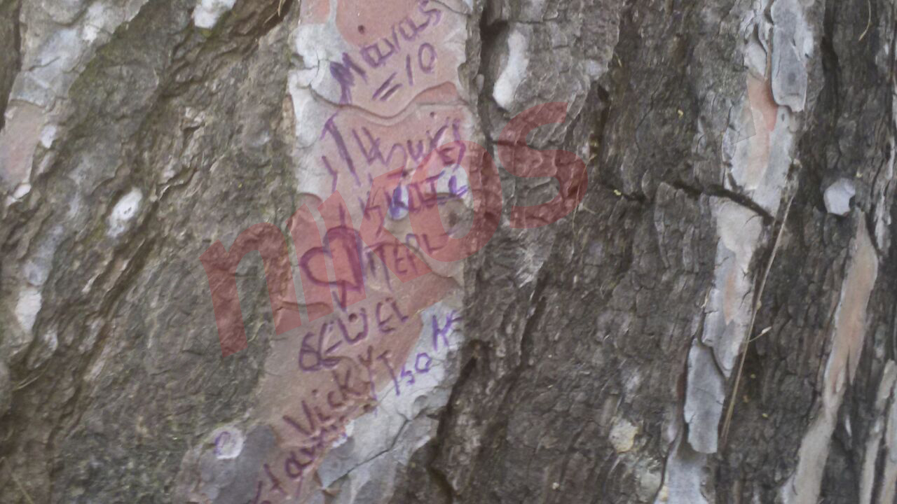 Το μήνυμα που χάραξε η Βίκυ Σταμάτη πριν συλληφθεί – ΦΩΤΟ