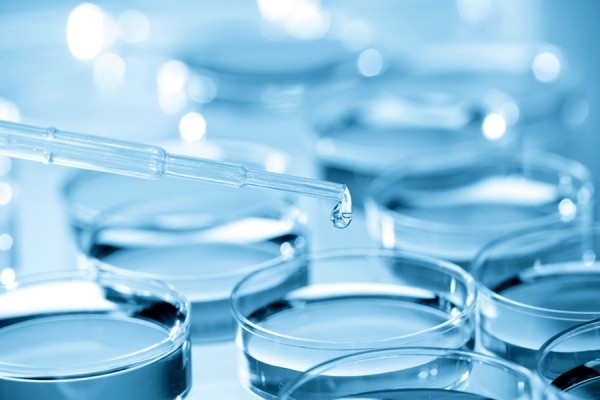 Εξωσωματική γονιμοποίηση – Όλη η αλήθεια