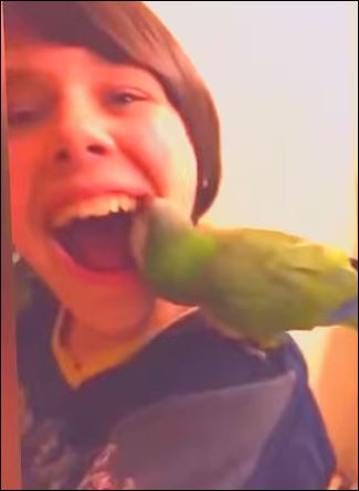 Ο παπαγάλος… οδοντίατρος – ΒΙΝΤΕΟ