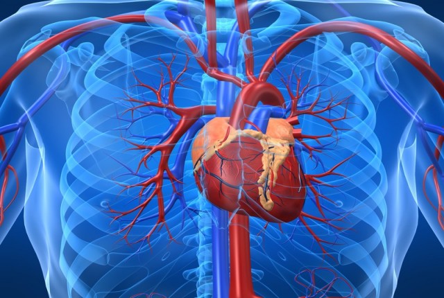 Καρδιαγγειακά νοσήματα: Απλοί κανόνες προστασίας