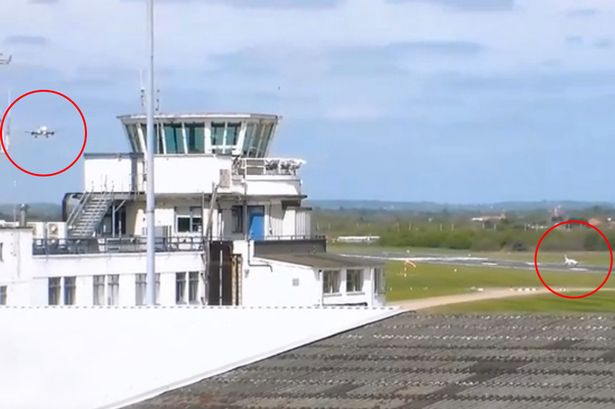 Παραλίγο σύγκρουση στο διάδρομο του Μπέρμινχαμ – ΒΙΝΤΕΟ