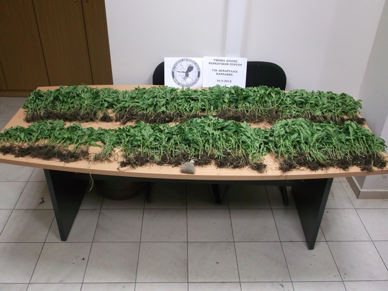 Καταδικασμένος σε 79 χρόνια φυλάκιση και με φυτεία στο δάσος – ΦΩΤΟ