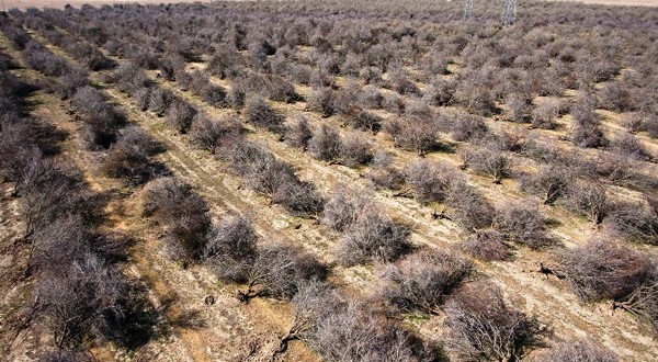 Συναγερμός στην Καλιφόρνια για το νερό