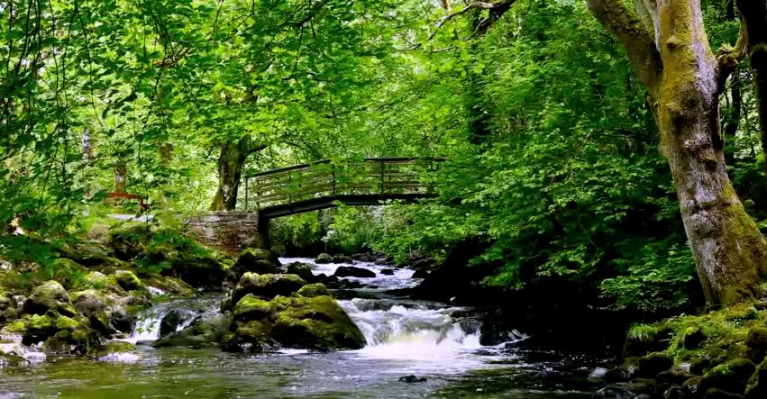 Ο καταρράκτης που… νανουρίζει – ΒΙΝΤΕΟ