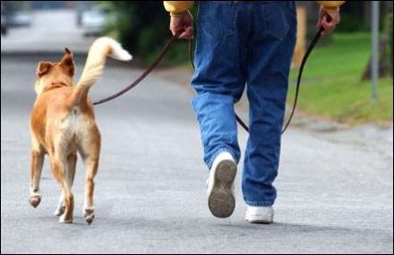Έβγαλε το σκύλο βόλτα με το μηχανάκι-Η φωτογραφία που έγινε viral – ΦΩΤΟ