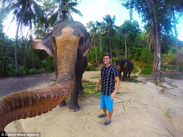 Ελέφαντας έβγαλε selfie – ΦΩΤΟ