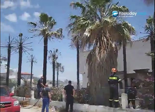 Φωτιά σε ξενοδοχείο στη Κω – ΒΙΝΤΕΟ – ΦΩΤΟ