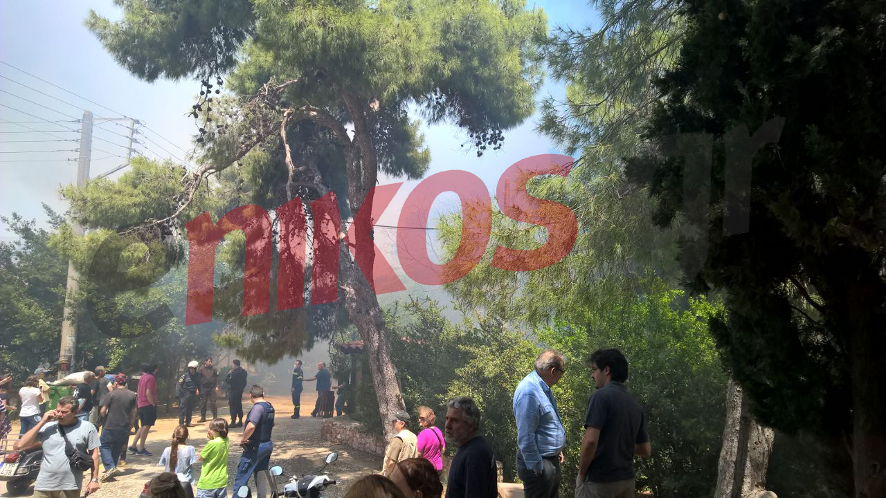 Υπό έλεγχο η φωτιά στο ρέμα Χαλανδρίου