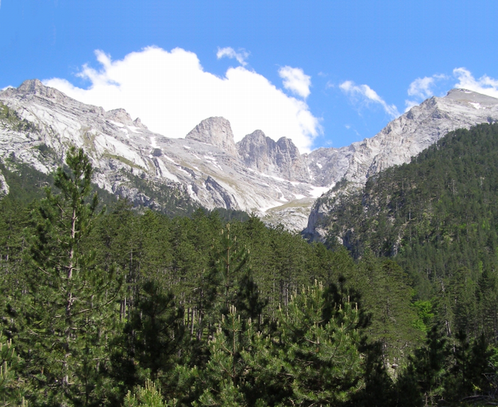 Στα “λευκά” ο Όλυμπος μέσα σε 3 μέρες- ΦΩΤΟ