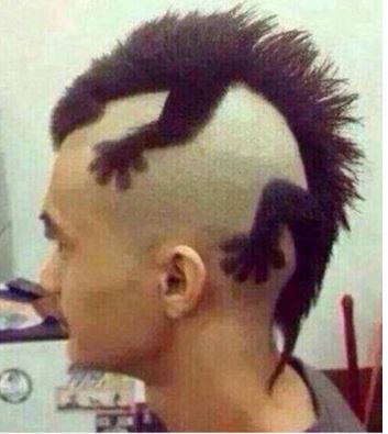 Ο κομμωτής… τρελάθηκε – ΦΩΤΟ