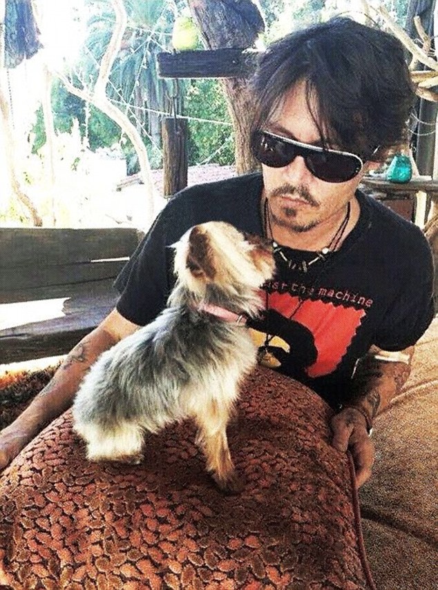 Η Αυστραλία απειλεί να θανατώσει τα σκυλιά του Τζόνι Ντεπ