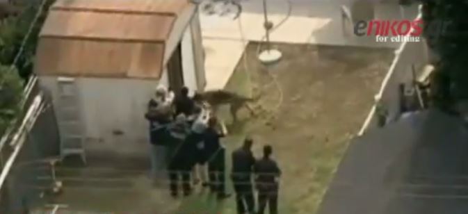 ΗΠΑ – Σκύλος “συλλαμβάνει” ύποπτο – ΒΙΝΤΕΟ