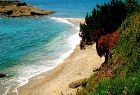 Η «μυστική» παραδεισένια παραλία μια ανάσα από την Αθήνα – ΦΩΤΟ