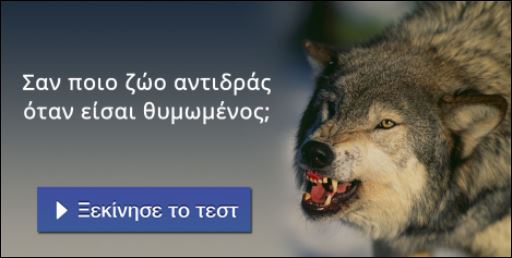 Tεστ – Θυμώνεις σαν θηρίο ή σαν… γατάκι;