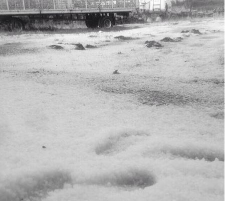 Το έστρωσε στη Βοιωτία από το χαλάζι – Σοβαρές ζημιές – ΦΩΤΟ