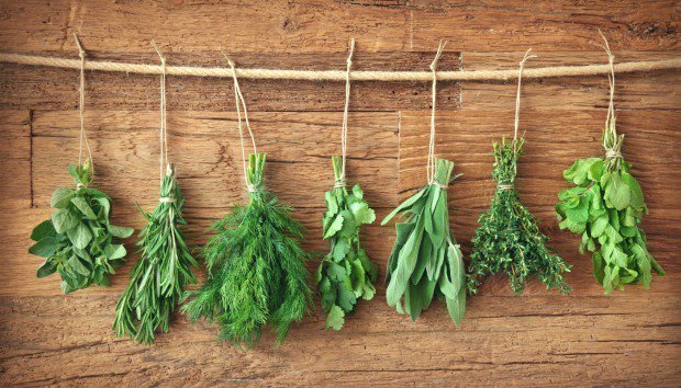 5 φυτά που θα σας απαλλάξουν από τα κουνούπια