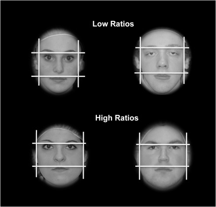 Το πρόσωπο του άνδρα δείχνει πόση τεστοστερόνη έχει
