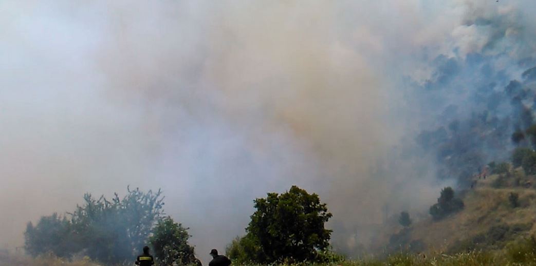 Μεγάλη πυρκαγιά στη Λέσβο – ΒΙΝΤΕΟ – ΦΩΤΟ