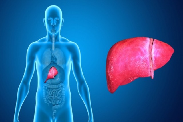 Σημάδια ότι το συκώτι σας μπορεί να μη λειτουργεί όπως θα έπρεπε
