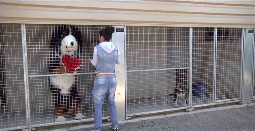 H νέα φάρσα του Rémi Gaillard που κάνει θραύση στο διαδίκτυο – ΒΙΝΤΕΟ