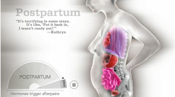 Οι αλλαγές στο γυναικείο σώμα κατά την εγκυμοσύνη – ΒΙΝΤΕΟ