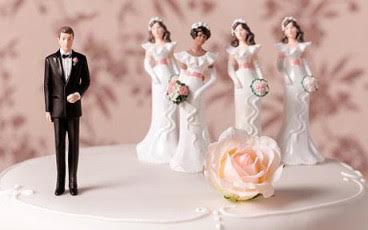 Πολυγαμικός ή μονογαμικός; Ιδού η απορία!