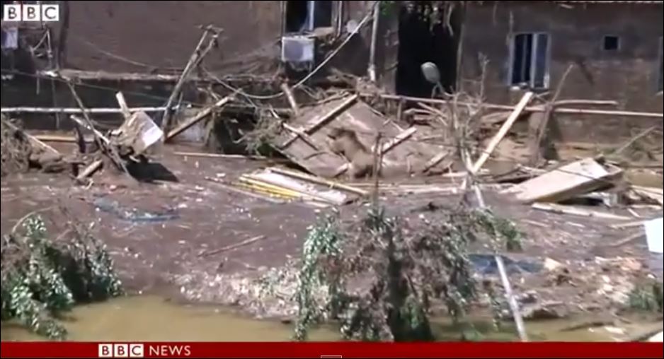 Τίγρης σκότωσε άνδρα στο κέντρο της Τιφλίδας – ΒΙΝΤΕΟ