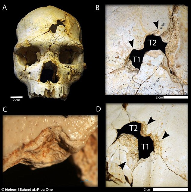 Είναι αυτός ο αρχαιότερος… φόνος; – ΒΙΝΤΕΟ