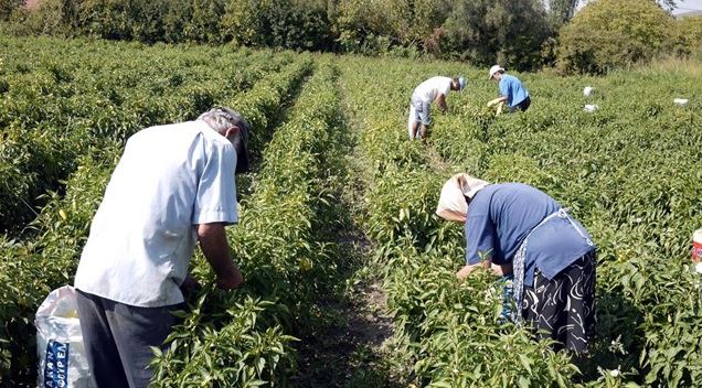Οι προτάσεις των δανειστών για τους αγρότες – ΒΙΝΤΕΟ