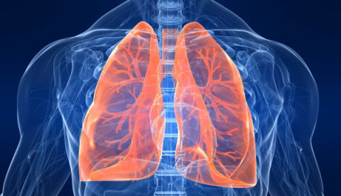Καρκίνος του πνεύμονα- Mπορούμε να μειώσουμε τις πιθανότητες εμφάνισης;