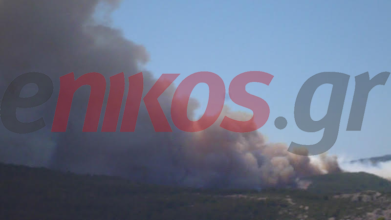 Σε εξέλιξη η φωτιά στην Άτταλη Ευβοίας – ΦΩΤΟ