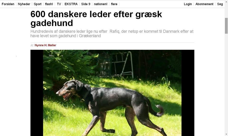 Ένα ολόκληρο προάστιο της Δανίας έψαχνε τον σκύλο από την Ελλάδα – ΦΩΤΟ