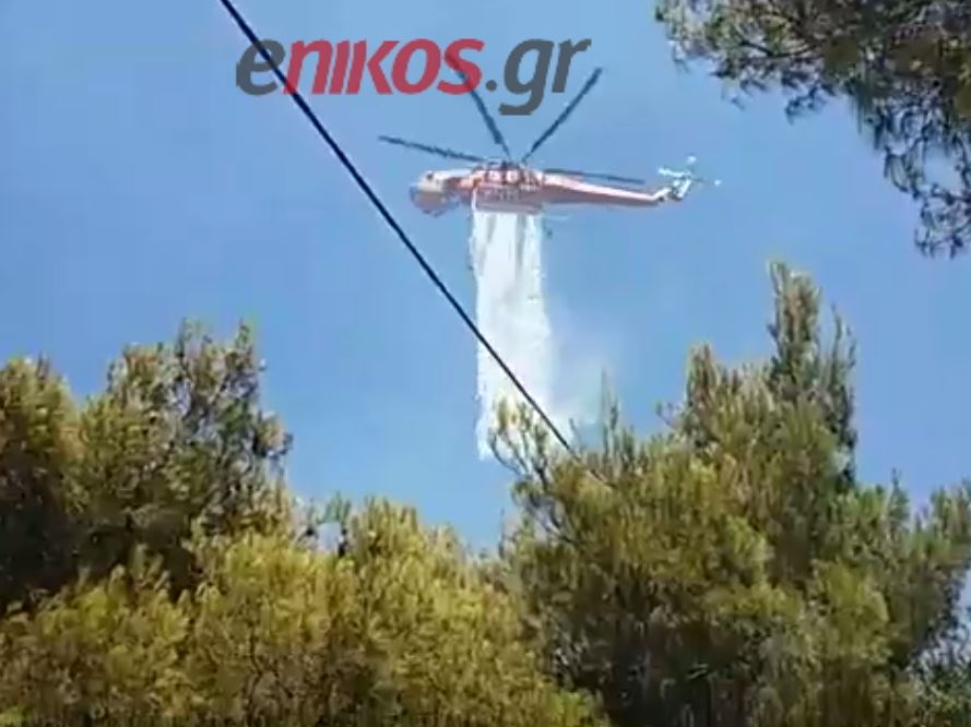Σε ύφεση η πυρκαγιά στην Πάρνηθα – ΒΙΝΤΕΟ