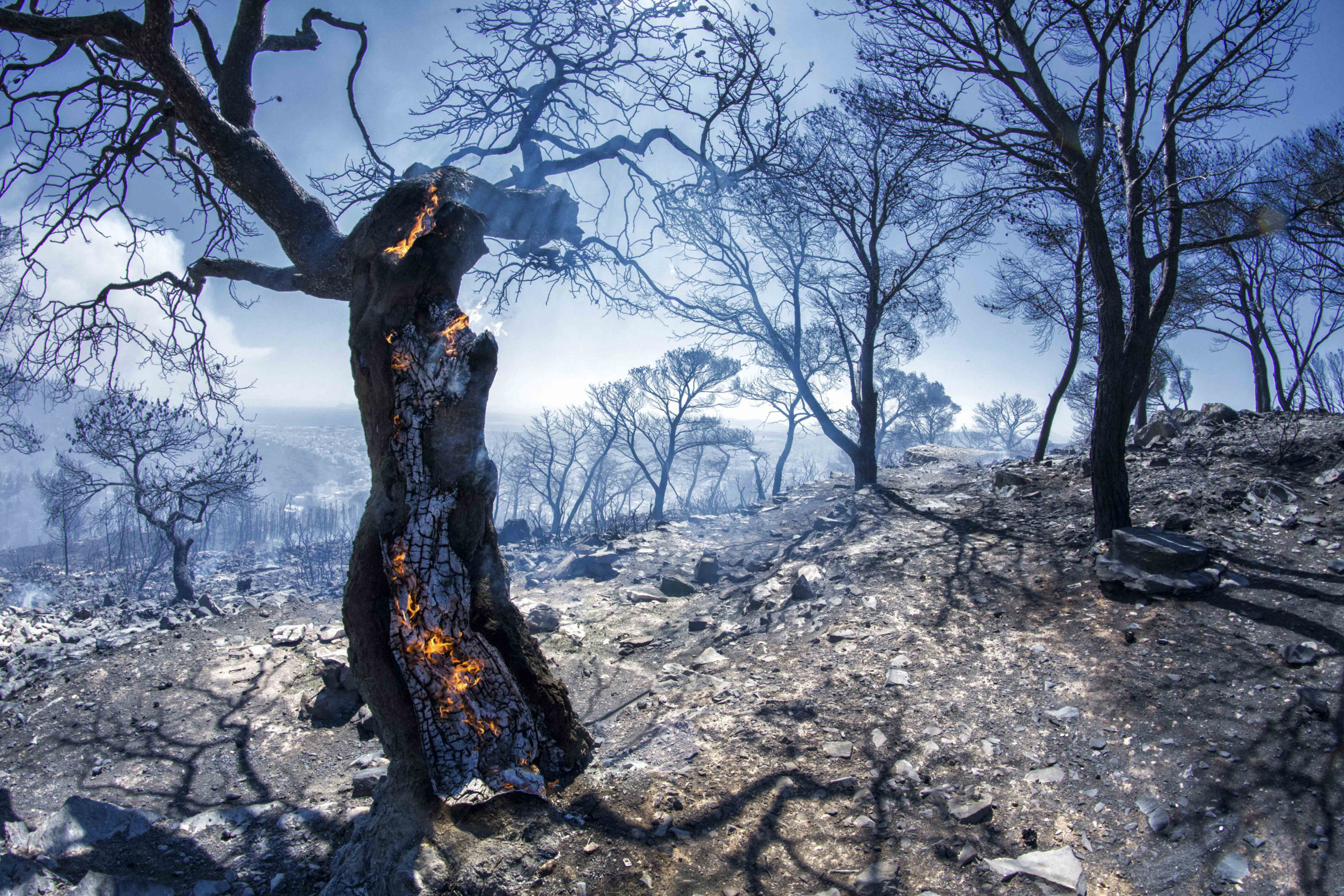 Σε επιφυλακή για τις φωτιές η Περιφέρεια Αττικής – Οδηγίες στους πολίτες