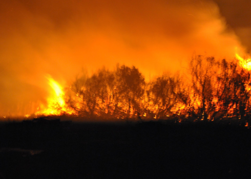 Υπό μερικό έλεγχο η φωτιά στη Νεάπολη Λακωνίας