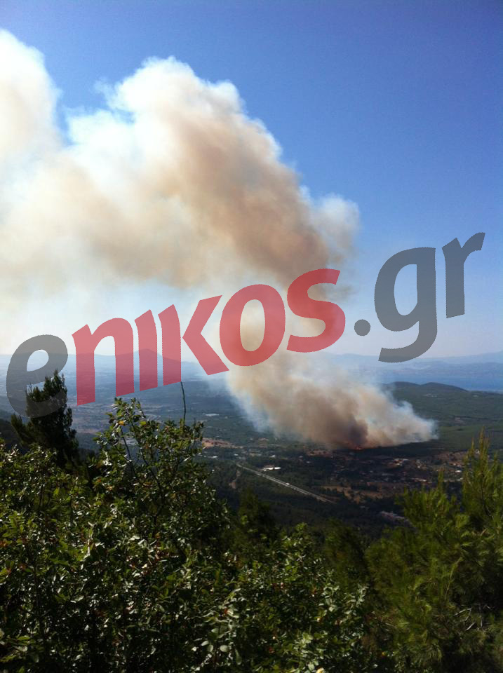 Εκκενώνονται τρεις κατασκηνώσεις στη Μαλακάσα