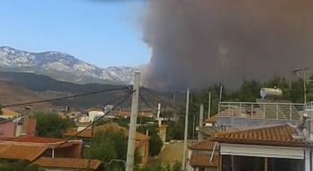 Μαίνεται η φωτιά στην Άτταλη Ευβοίας – Εκκενώνεται προληπτικά η Μακρυκάπα – ΦΩΤΟ