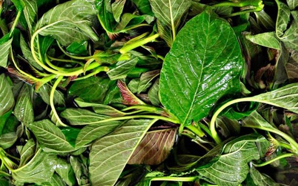 Βλήτα: Η διατροφική αξία και τα οφέλη τους