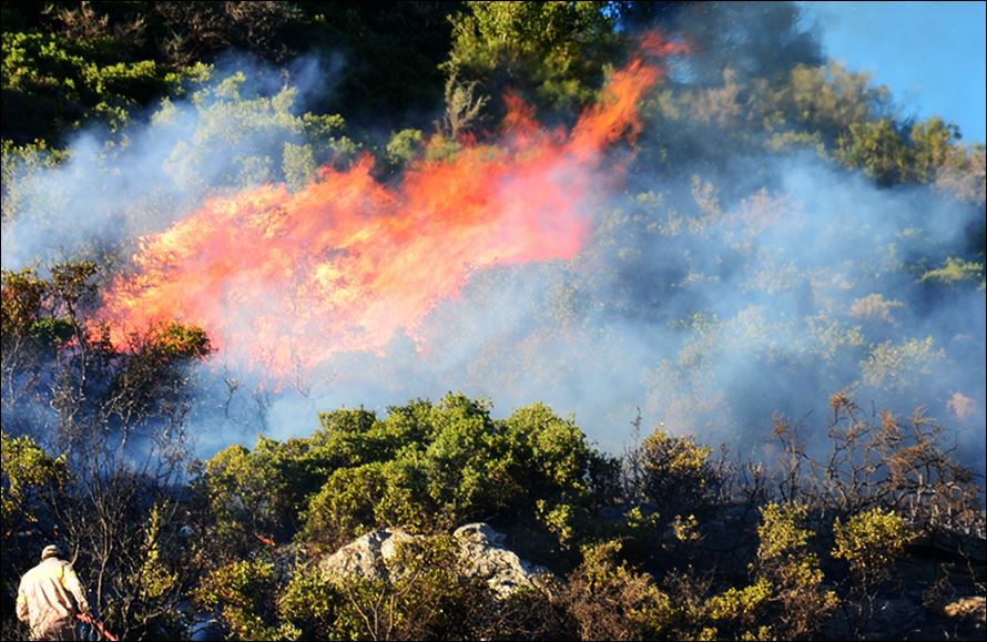 Προληπτική φύλαξη σε Λυκαβηττό, Φιλοπάππου και Στρέφη