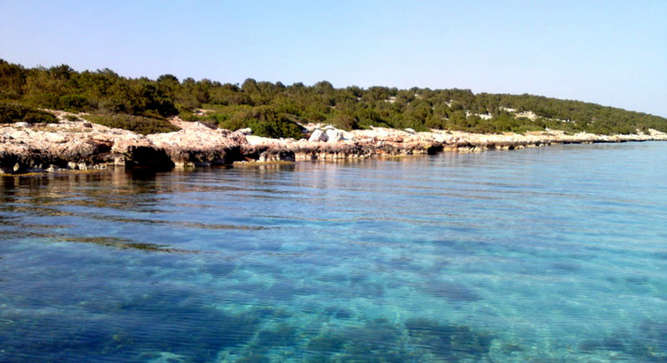 Νησί στον Σαρωνικό αγόρασε ο Γουόρεν Μπάφετ