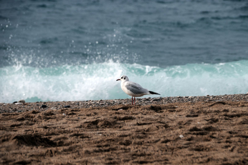 Που θα βρέξει το Σαββατοκύριακο – Η αναλυτική πρόγνωση