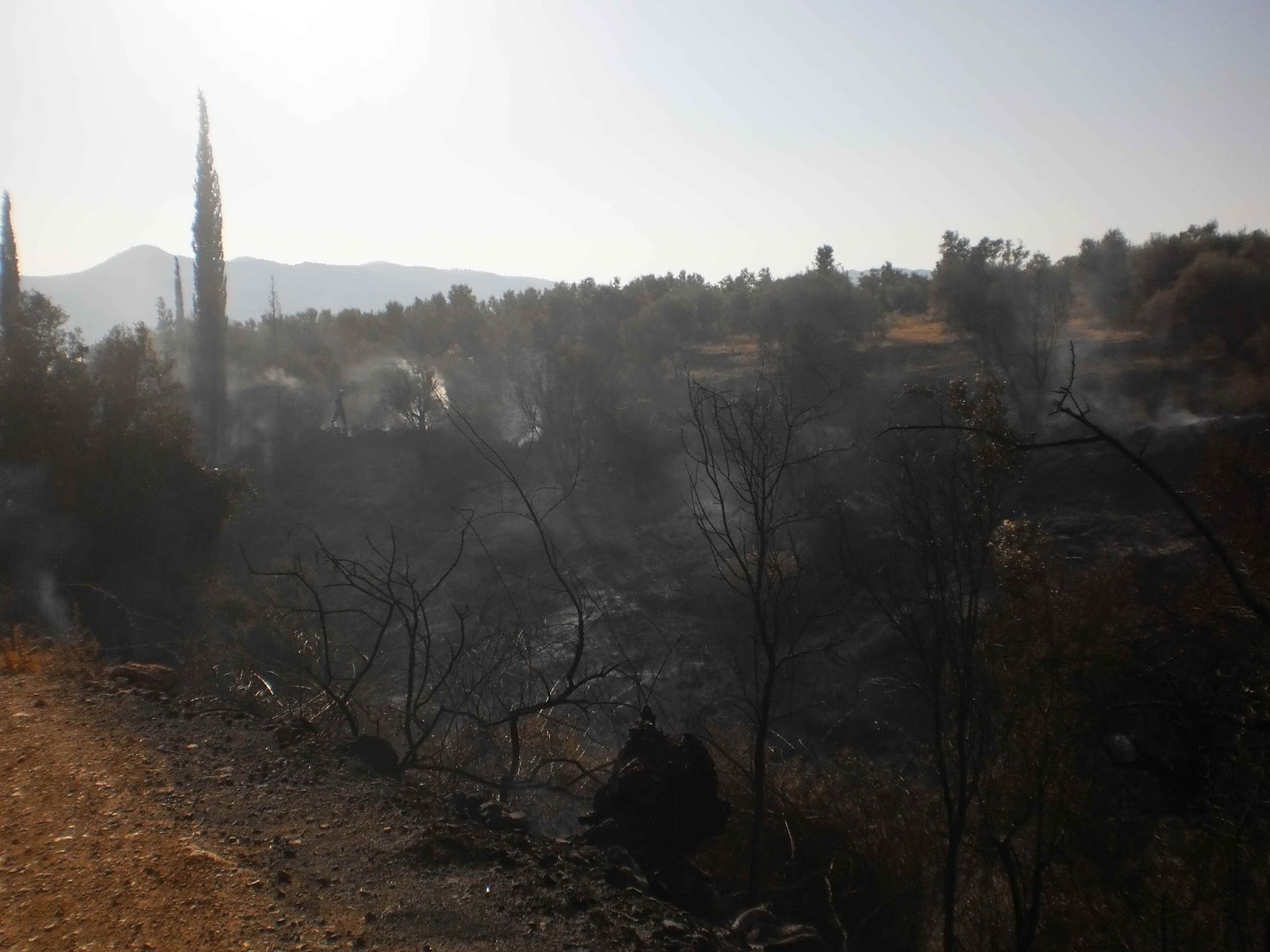 Σε ύφεση η φωτιά κοντά στην Πάλαιρο Αιτωλοακαρνανίας