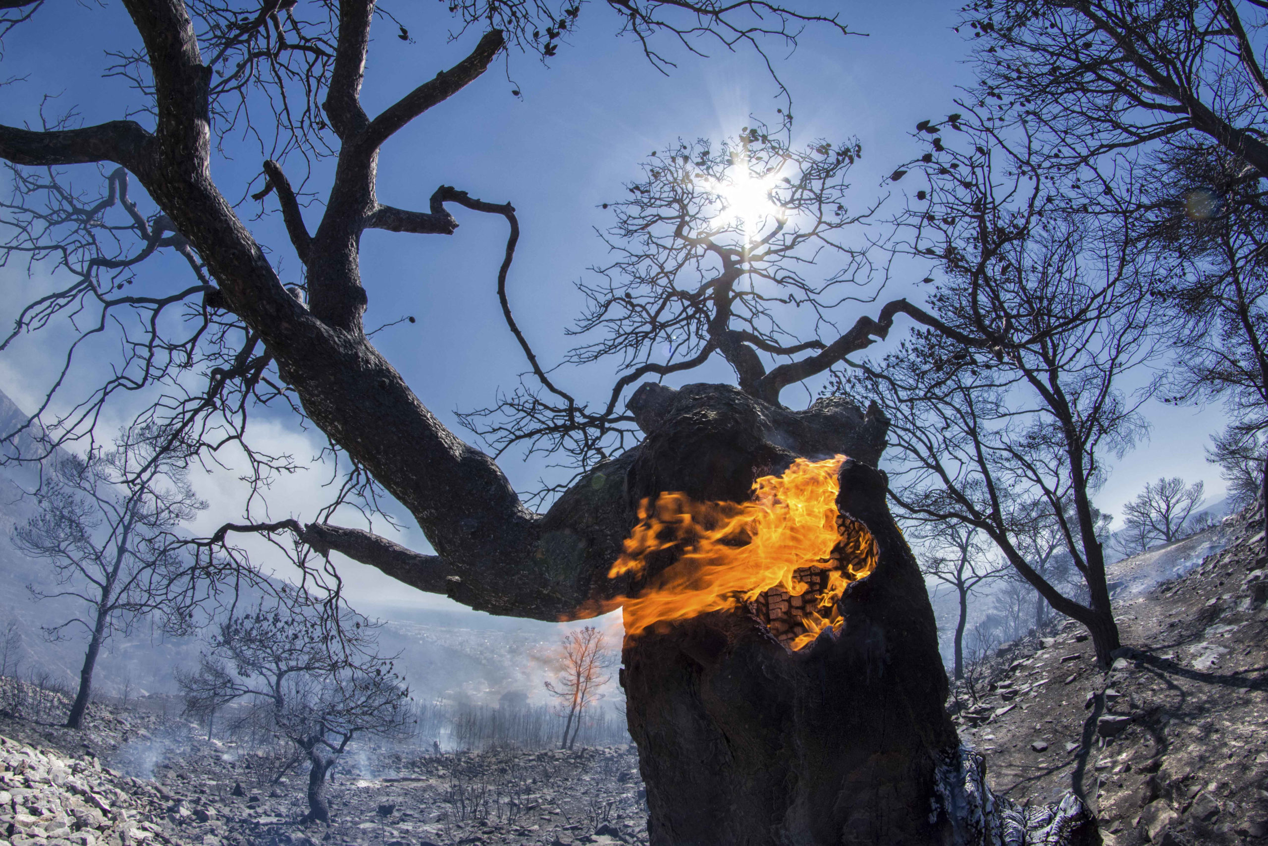 Νέα φωτιά στη Σκύρο