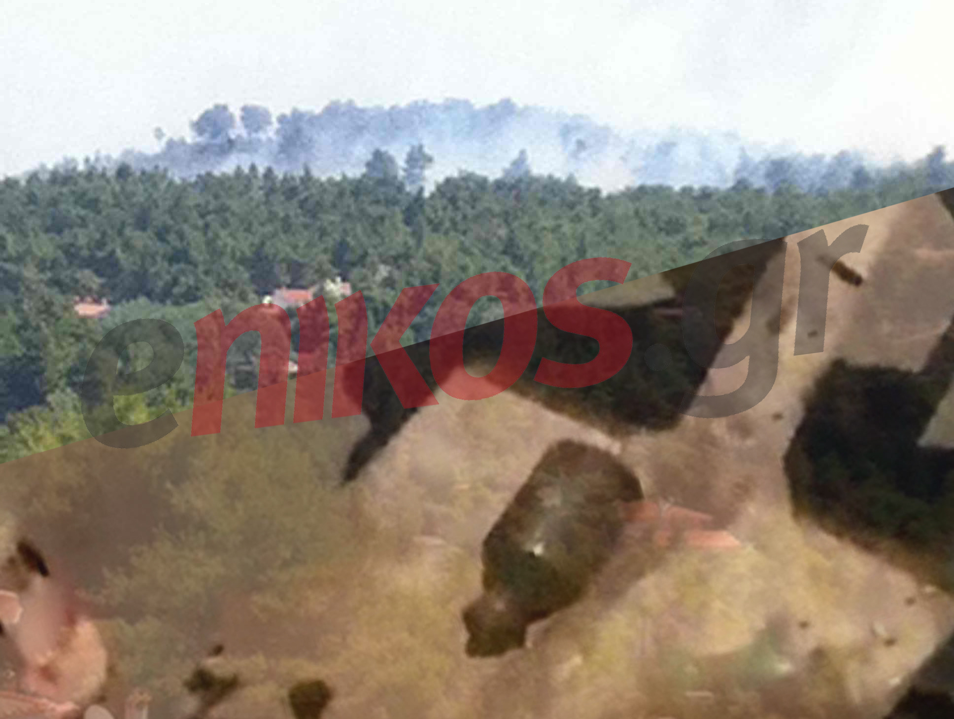 Σε ύφεση η πυρκαγιά στη Σταμάτα – Εμπρησμό καταγγέλλουν οι κάτοικοι – ΦΩΤΟ – ΒΙΝΤΕΟ