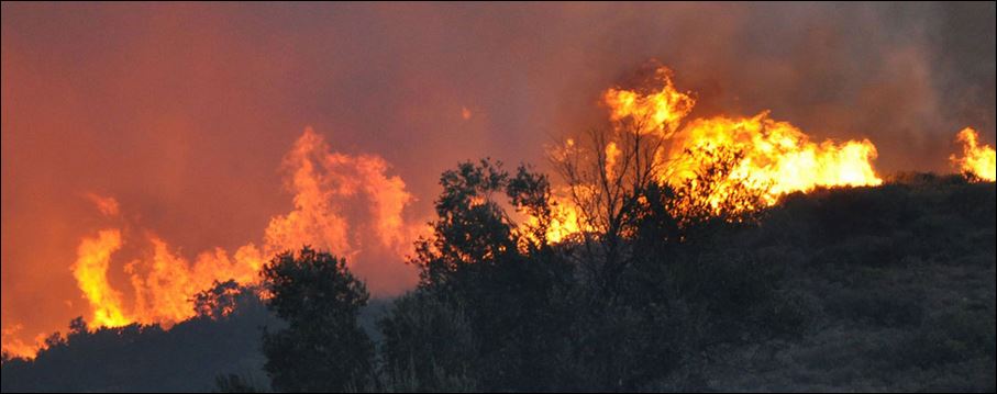 Νέα πυρκαγιά ξέσπασε κοντά στη Χαλκίδα – ΤΩΡΑ